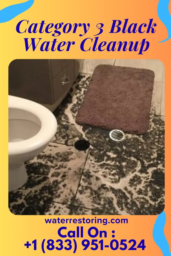 Category 3 Black Water Cleanup in Bainbridge, IN