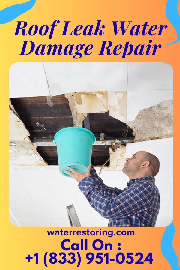 Roof Leak Water Damage Repair in Bainbridge, IN